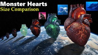 Famous Legendary Sea Monsters Heart Size Comparison 3D | Mythical Creatures Scale Wealth