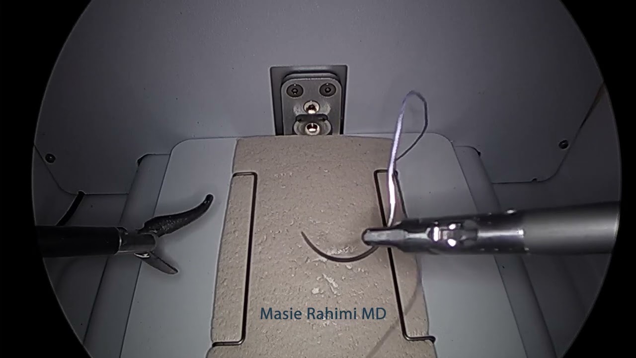 Laparoscopic Advanced Skills: Needle Positioning and Handling