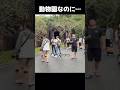 タイの動物園で中国人観光客の迷惑行為が物議