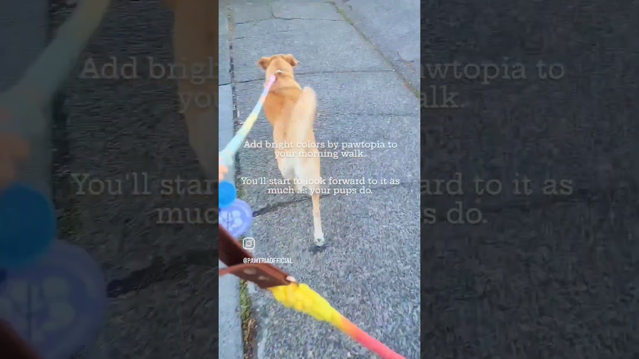 Come check out our new cotton rope leash and collar set, designed to keep your potty duty walk fun!