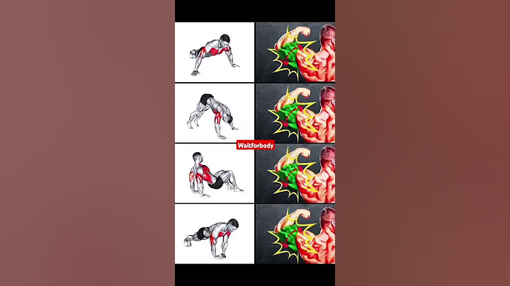 Best Full body Triceps Strong workouts #shorts #chest #triceps #shortvideo #art #yt