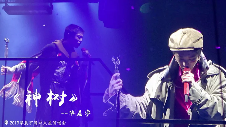 [Multi SUB]【高音質字幕版】華晨宇《神樹》新歌首唱！2019/11/15&16海口火星演唱會，大頭➕舞美混剪(飯拍@誮娜娜) Hua Chenyu - 天天要聞