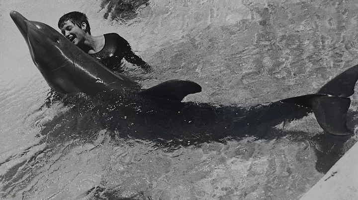 Dealing with a dolphin's 'urges' - The Girl Who Ta...