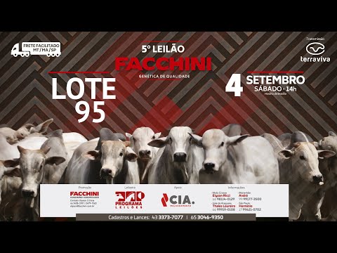 LOTE 95 - 5º LEILÃO FACCHINI 04/09/2021