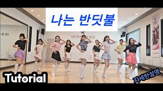 I'm Firefly Remix 나는 반딧불(Tutorial)Count: 32 Wall: 4 Level: Beginner