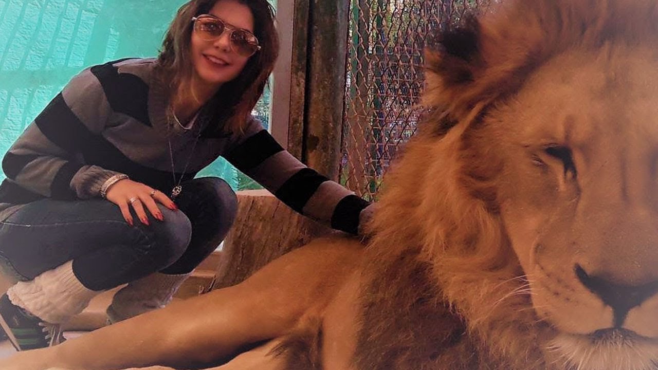 girls like you VLOG - Na jaula com TIGRES e LEÕES! 🐯🦁