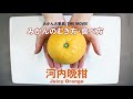 【河内晩柑】河内晩柑（ジューシーオレンジ）の皮のむき方・食べ方【のま果樹園】愛媛みかん