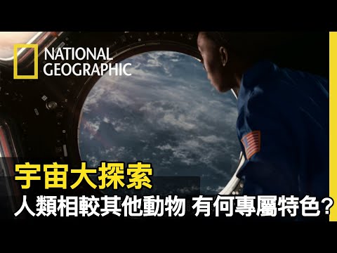 人類究竟跟宇宙中的其他生靈有甚麼差別呢? 有組織? 商業行為? 還是奴役與剝削? ㄟ 這些行為其實..動物也常做!?【宇宙大探索】