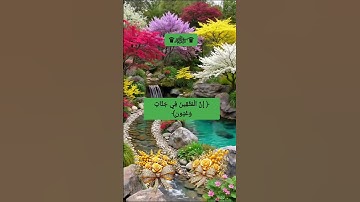 #♕﷽ٍ♕﴿ إِنَّ الْمُتَّقِينَ فِي جَنَّاتٍ وَعُيُونٍ﴾#القارئ الشيخ هزاع البلوشي 🎧🎤