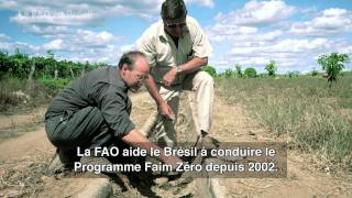 La FAO au Brésil