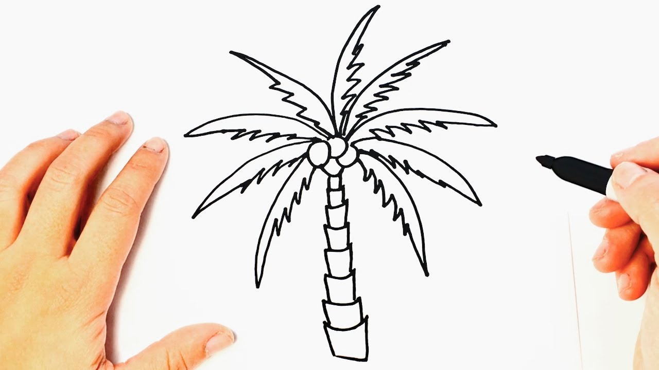 Cómo dibujar una Palmera paso a paso | Dibujos Fáciles - thptnganamst.edu.vn