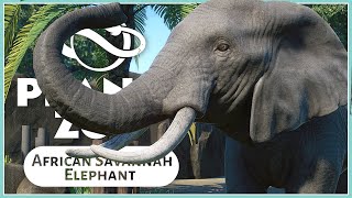 Habitat Design, Animations & More! | African Elephant Species Breakdown | Planet Zoo