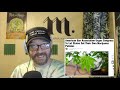 Cannabis News - Is There Anything Hemp Can't Do? | Ep. 468 | 08-21-2019