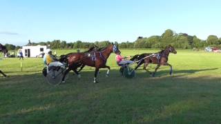 Race 9 The Final   Cumberland Show Saturday 17th June 2017