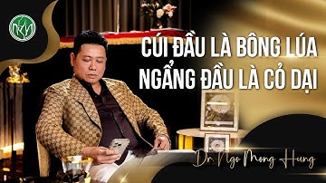 Cúi Đầu Là Bông Lúa, Ngẩng Đầu Là Cỏ Dại | Bác Sĩ Ngô Mộng Hùng #ngomonghung