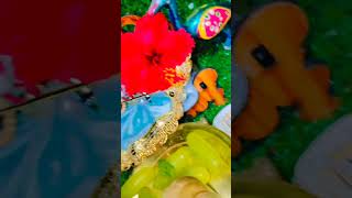 Moh more banaiyo radha🌸💗 #radhakrishnakripa #shyam #ytshorts #viralvideo #krishnabhajan #shortsfeed