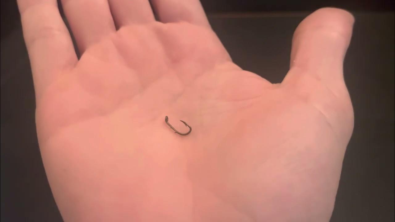 How to Choose the Right Hook for Fishing YouTube