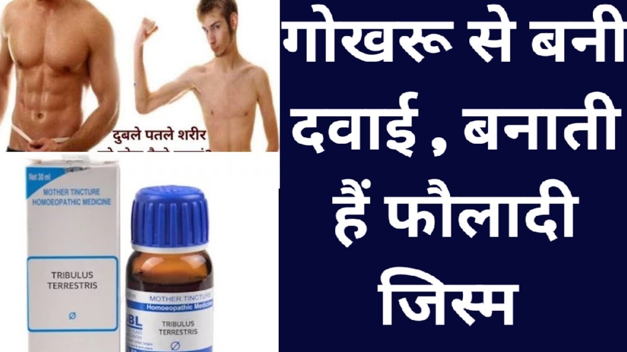 गोखरू से बनी दवाई,बनाती हैं फौलादी जिस्म, tribulus terrestris benefits