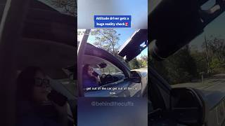 Most Relaxing Arrest Of The Month