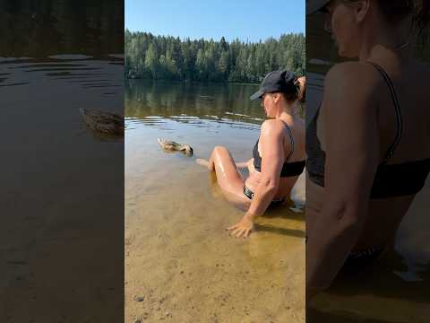 Карельское утро 😅🦆 #аннажаки #экипажмакжак #карелия #озеро #утки #природа