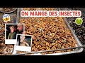 MON FILS GOUTE LES INSECTES EN THAÏLANDE !