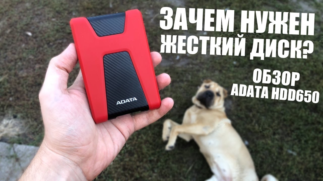 Для чего нужен портативный. A-data ahd650 разборка.