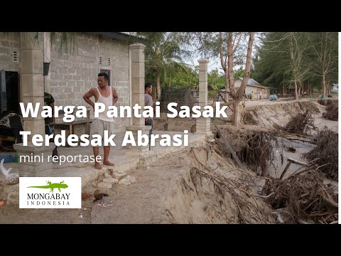 Cerita Warga Pantai Sasak yang Terdesak Abrasi | Mongabay Indonesia