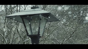 March Snowfall (Panasonic GH5)  120/180FPS test