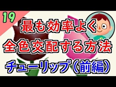 ポケ森 攻略 最も効率よくチューリップの花家具をコンプする方法 前編 どうぶつの森ポケットキャンプ Youtube