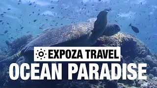 Ocean Paradise Vacation Travel Video Guide