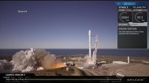 SpaceX celebrates first successful launch after rocket went up in flames