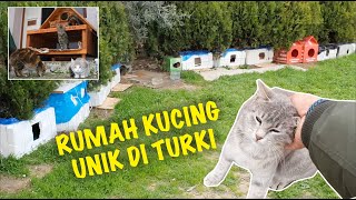 Seperti Inilah Rumah Kucing di Turki  Cat House in Turkey