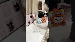 The little black cat who is good at hide and seek#cat #pets #cute