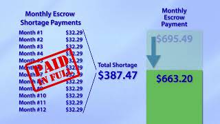Escrow Analysis Process