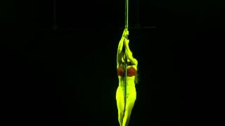 Oasis Ball Perch Pole