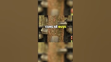 Một chiếc kéo cắt cành cây phi như tên lửa giúp bạn làm việc dễ dàng hơn