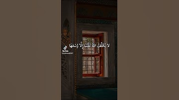 لا يكلف الله نفسا إلا وسعها تلاوه خاشعه 💜 على القران الكريم راحة نفسية #اكسبلور #القرآن_الكريم