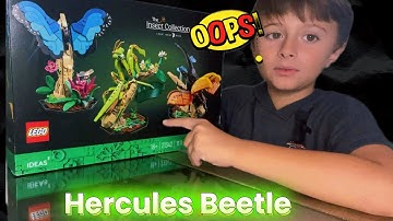 LEGO Insect Collection | Speed Build!