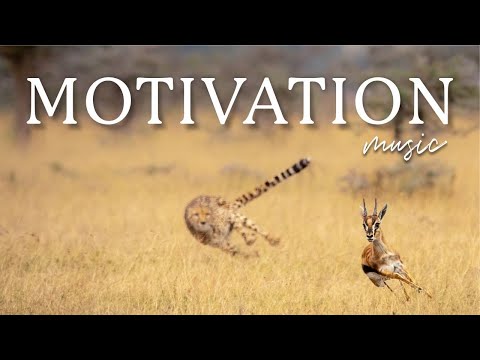 Inspirational Motivation Music For Work Focus And Study GET THINGS DONE 