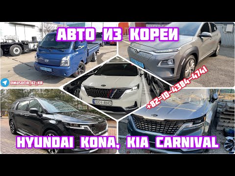 Авто из Кореи, Hyundai Kona EV, Kia Carnival 2022
