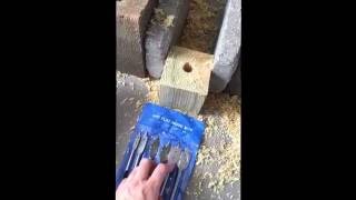 How to make a carpenter bee trap Scott The Nature Guy Carpenter Bees