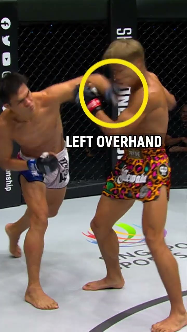 KO analysis ?