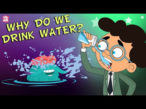 Video: Do you know what water is for?