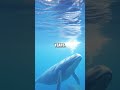 Surprising Animal Lifespan Secrets