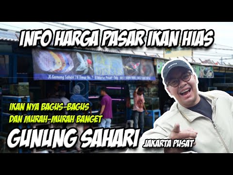 info-harga-centra-ikan-hias-gunung-sahari-jakarta-pusat,-ikan-predator-nya-bagus-bagus-banget!