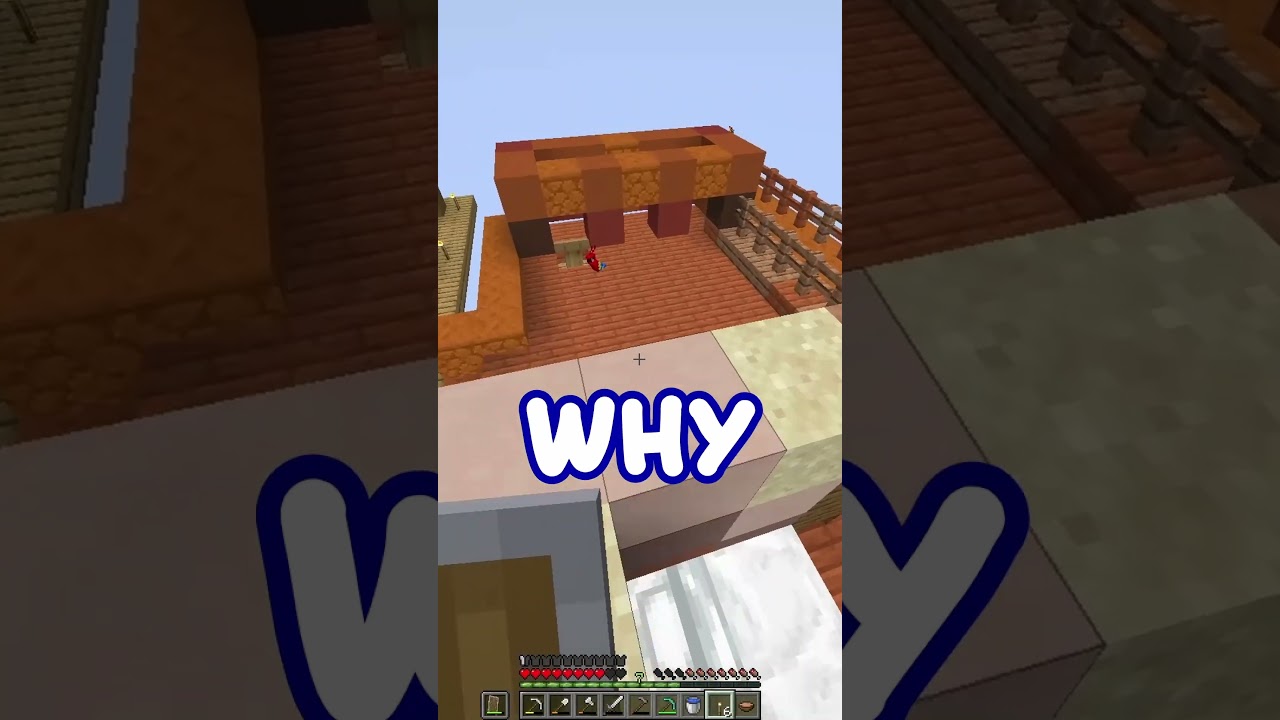 ALL my Villagers DIED in One Block Skyblock