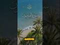 Surah Al-Mu’minoon Ayat 115–118 | Zindagi Ka Maqsad | Allah Ki Rehmat #islamicvoice674 #ytshort #yi
