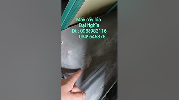MÁY CẤY LÚA ĐẠI NGHĨA