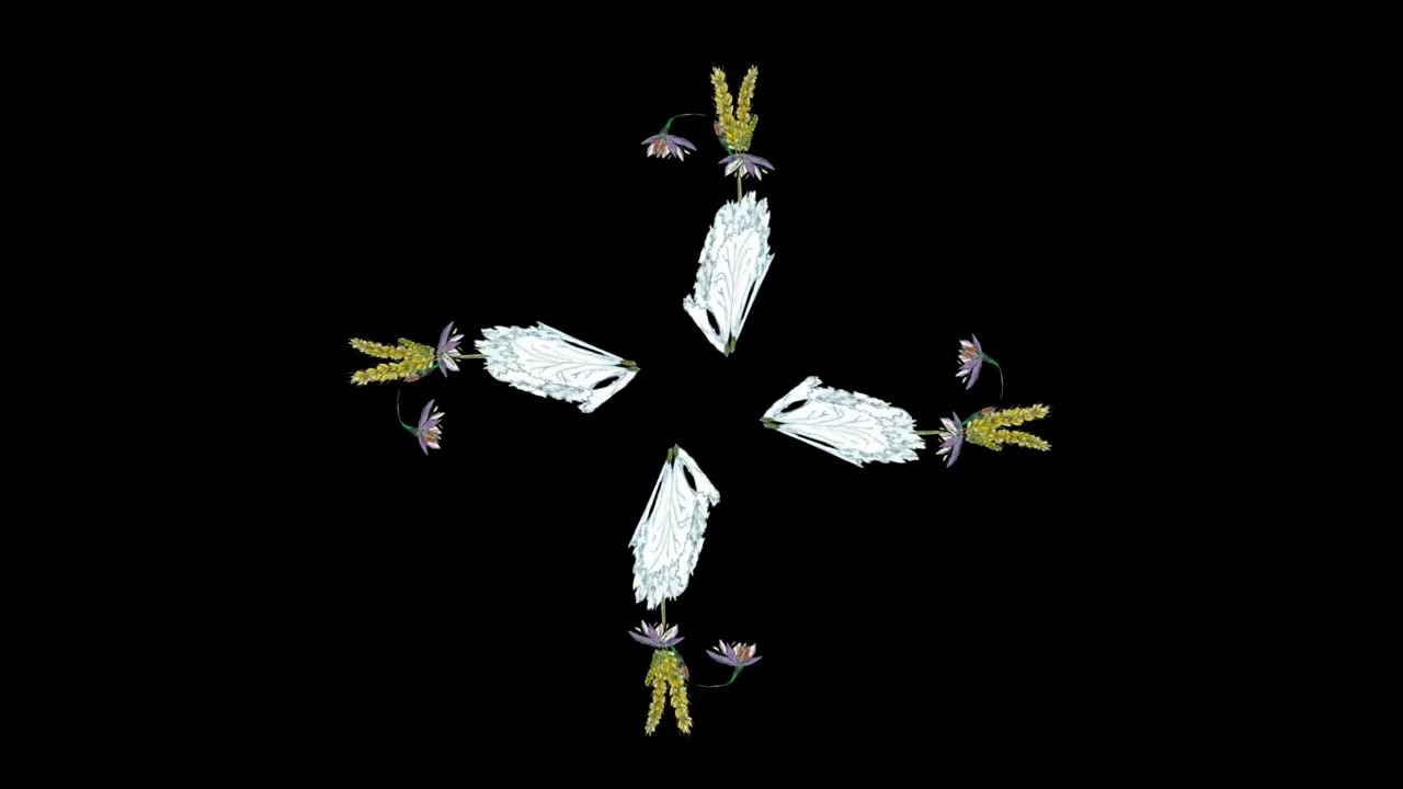 Midsommar (Hologramme poèmes+audio)