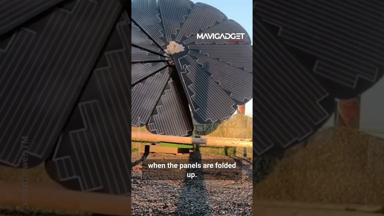 This solar panel follows the sun for optimal energy conversion.⁠ ⁠ Smartflower solar panel is an